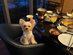 -西安浐灞艾美酒店·汉江餐厅·火锅