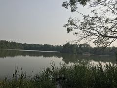 -大湾区中央湿地公园
