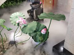 -香浙汇(望京店)