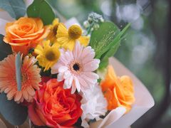 -花生FM_FLOWERS