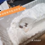 和路雪-千层雪，永远的神！