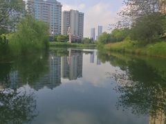 -新江湾城公园