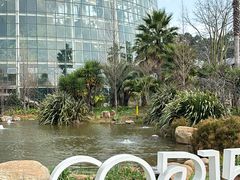 -昆明植物园