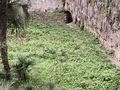 -黑龙滩生态鱼火锅(百寿路店)