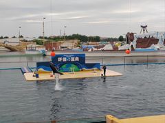 -秦皇岛乐岛海洋王国