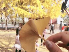 -辽宁大学(崇山校区)