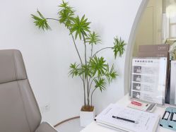 -臣丽纹眉品牌连锁