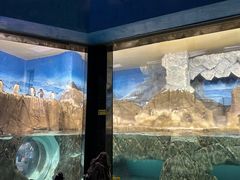 -成都浩海立方海洋公园