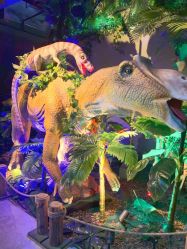 -恐龙探索乐园(磁器口店)