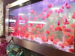 -御池园(顾村公园店)