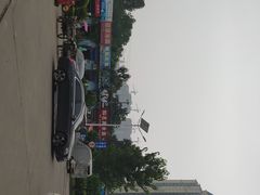 -秦美花卉(天朗·莱茵小城2期店)