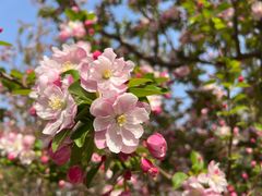 -元大都城垣遗址公园