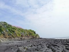 -漳州滨海火山岛自然生态风景区