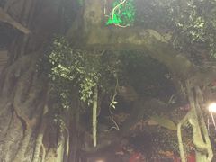 -新世纪绿洲(抚顺店)