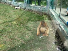 -西安秦岭野生动物园