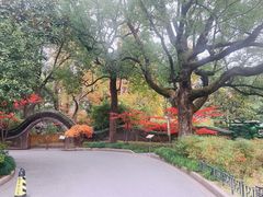 -申粤轩酒楼·三十年粤菜经典(丁香花园店)