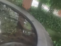-碧水湾温泉