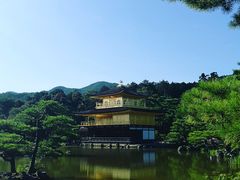 -豆政(金閣寺境内売店)