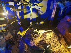 -恐龙探索乐园(磁器口店)