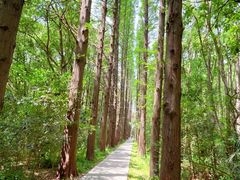 -同里国家湿地公园