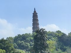 -顺峰山公园