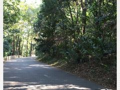 -华南国家植物园-售票处