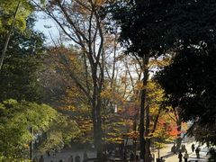 -井之头恩赐公园