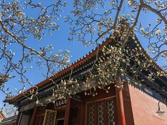 -北京艺术博物馆(万寿寺)