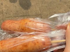 -合肥野生动物园