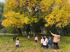 -世纪飞马幼儿园(西城校区)