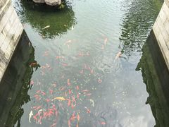 -阳澄湖半岛旅游度假区
