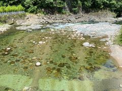 -光雾山旅游景区