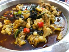 紫苏牛蛙-松哥油焖大虾(皇岗一店)