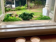 -BAMN coffee