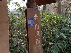 -五凤溪古镇