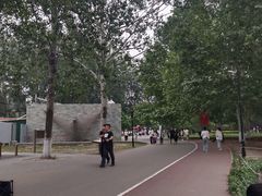 -朝阳公园游乐园