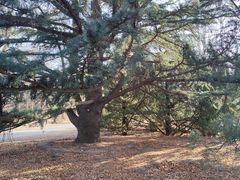 -国家植物园南园