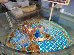 -争先鲜·蒸汽海鲜自助·鲜切牛肉