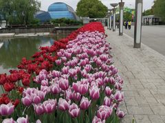 -上海鲜花港