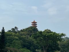 -深圳仙湖植物园