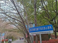 -高东镇樱花园