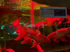 -南昌动物园