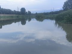 -洨河生态公园