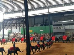 -东芭乐园