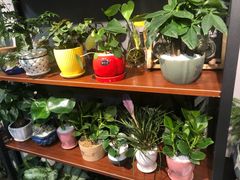 -何兮花店·气球派对鲜花店(马桥银春路万科城店)