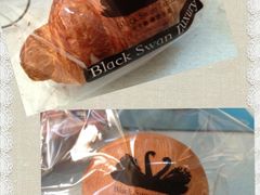 iphone_upload_pic-BLACKSWAN黑天鹅(环球店)