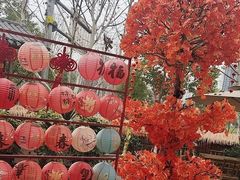 -后湖小院·乡野田园菜