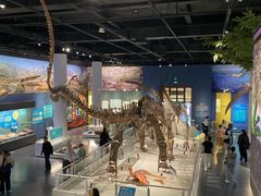 -国家自然博物馆