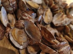 -浩运·海鲜青岛菜·海胆水饺(石老人店)