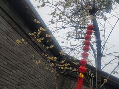 -天一阁博物院
